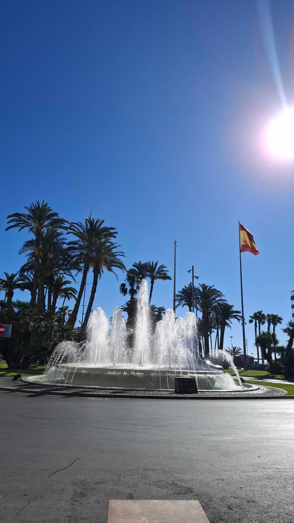Alicante so Sárou